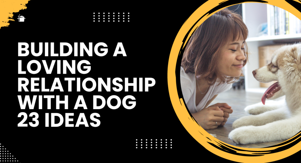 Building a loving relationship with a dog 23 ideas